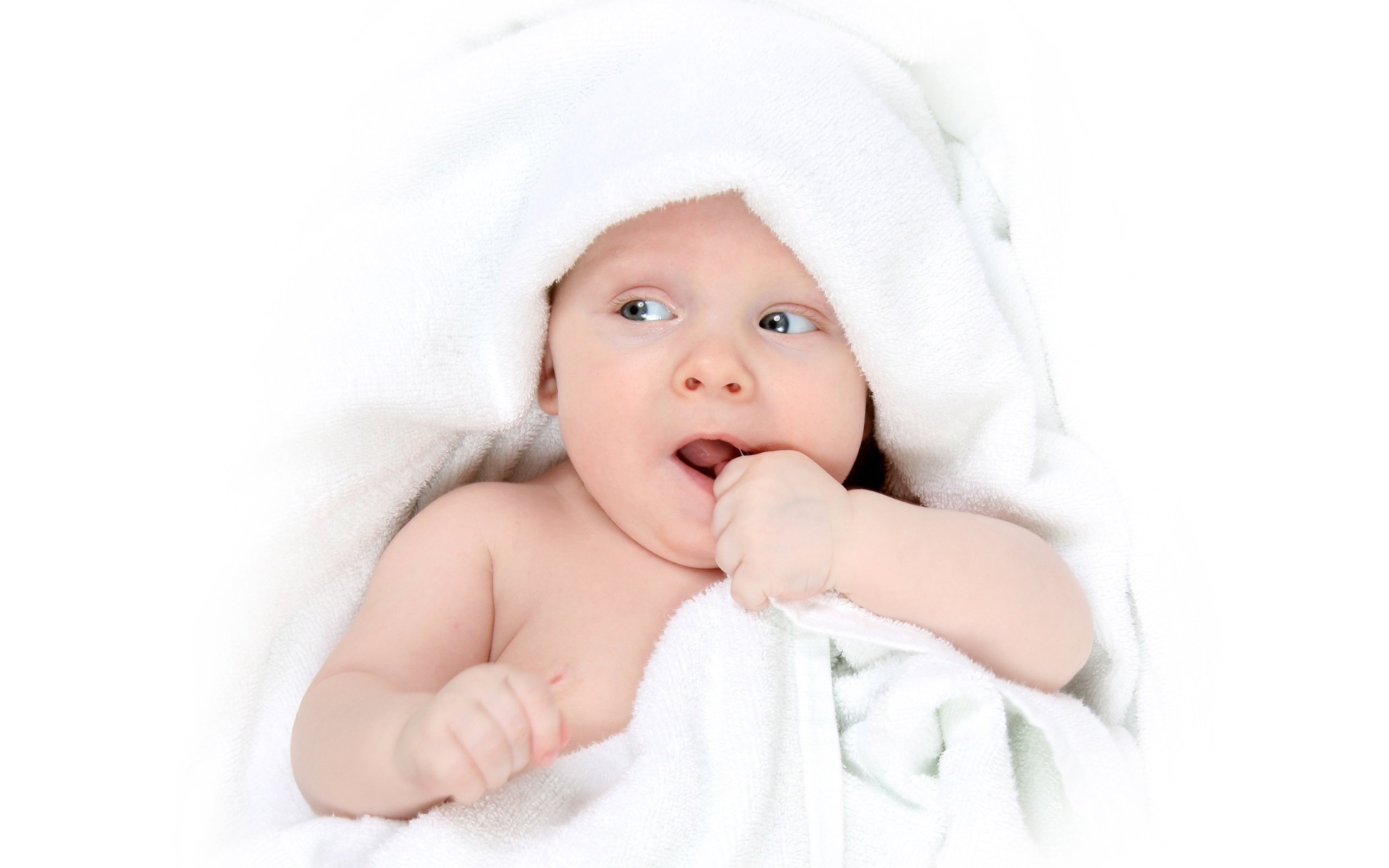 捐卵自怀试管婴儿胚胎成功率